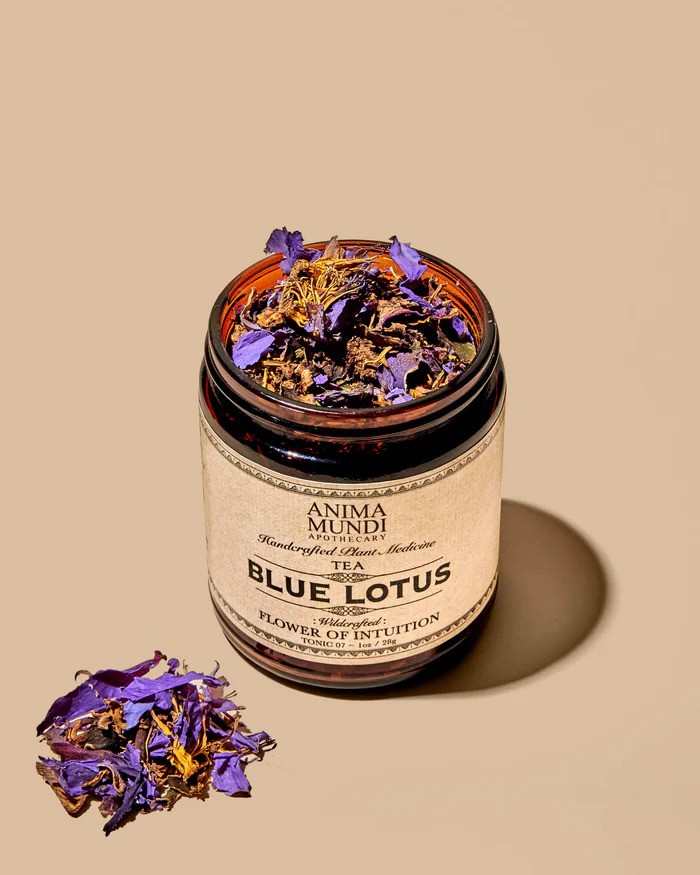 BLUE LOTUS 01